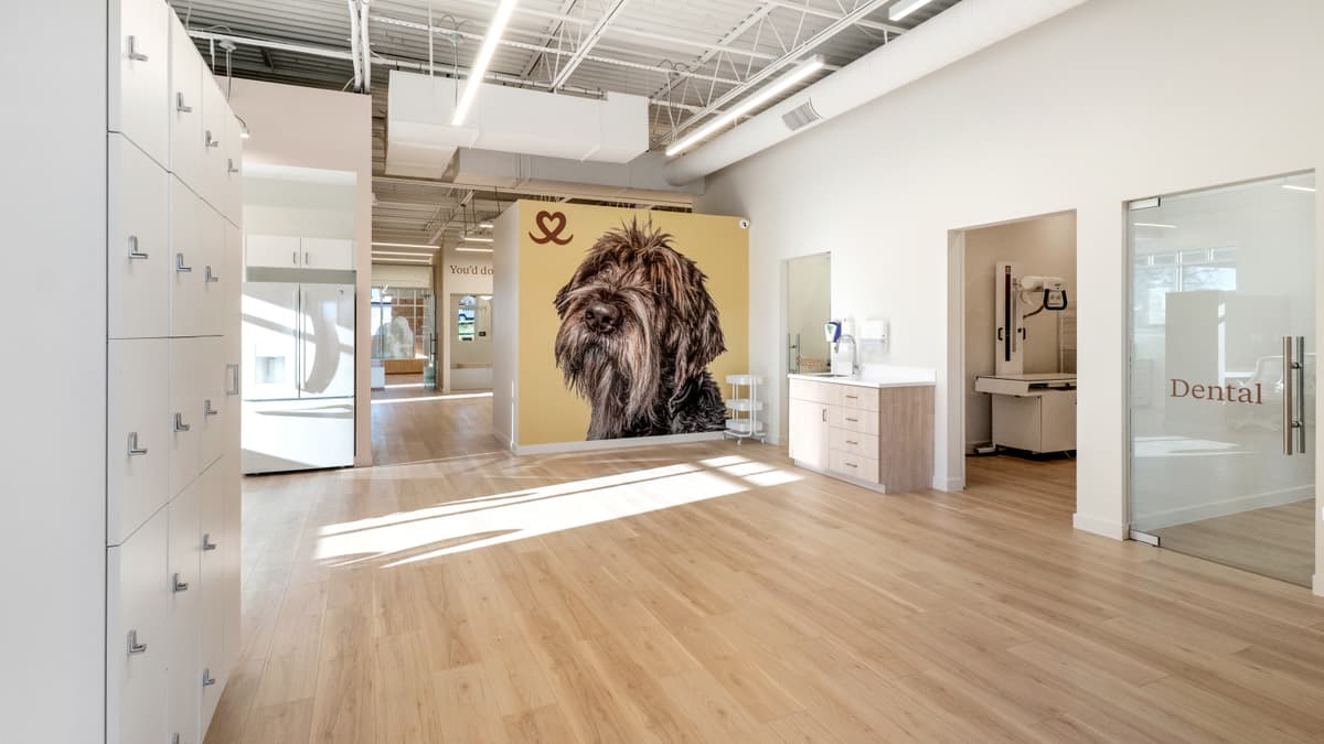 Petfolk vet clinic